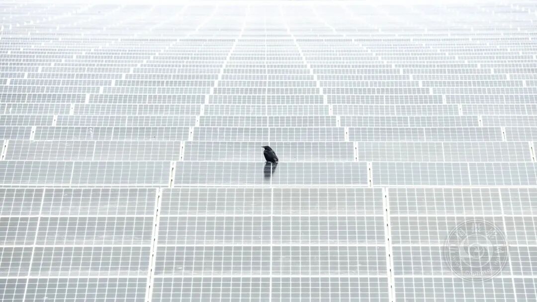 未成年小男孩海报