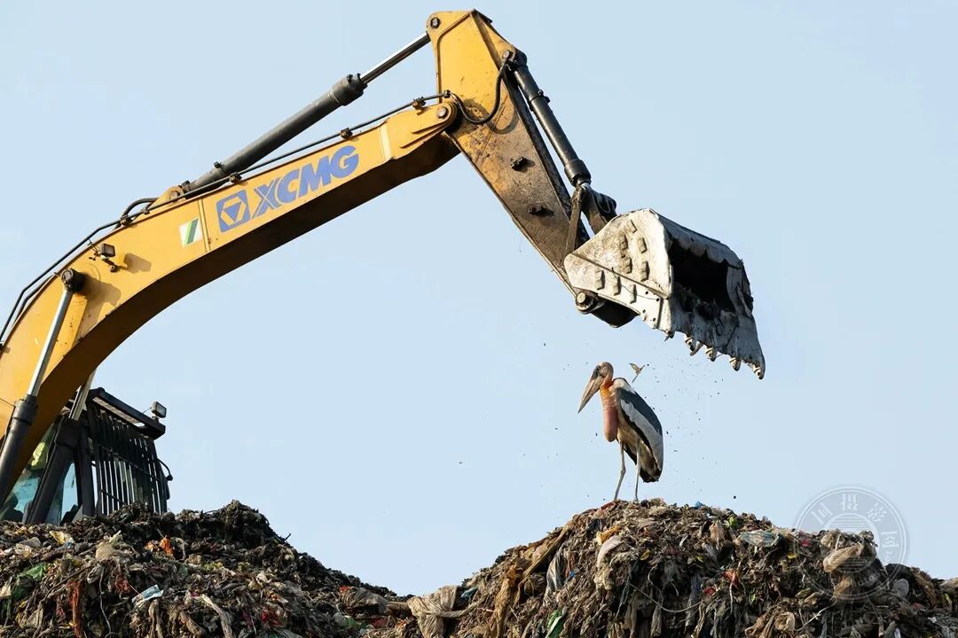 日本短视频海报