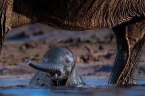 日本模特影视 高度优化的日本静态存在海报