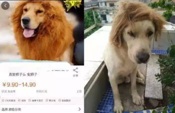 人妻熟妇乱又伦精品视频海报