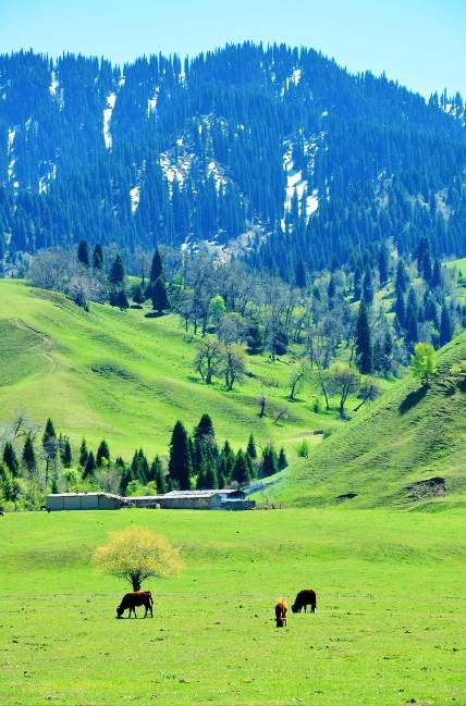 51吃瓜在线观看海报