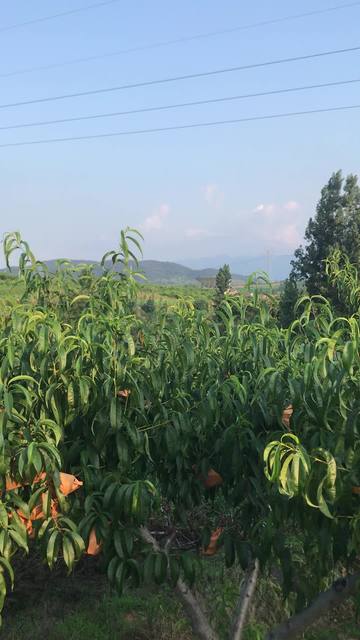 少妇无码久久一区二区三区