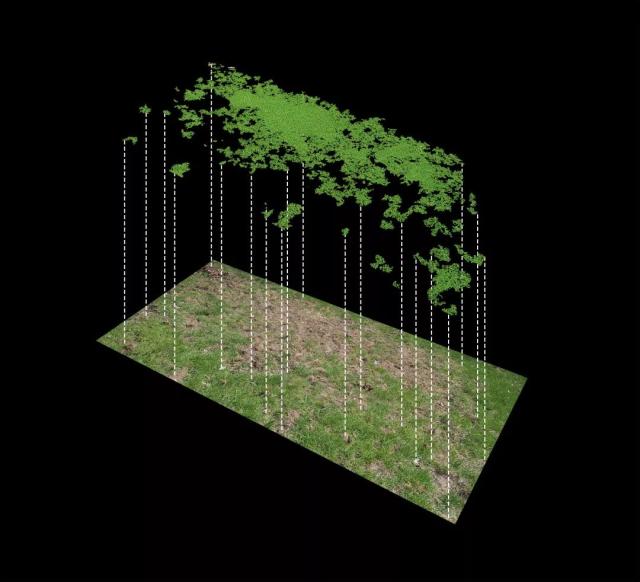 939W78W78W乳液永久海报