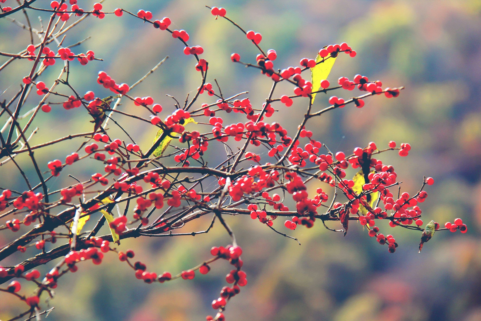 死或生 3d同人图