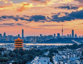 啄木鸟电影在线观看