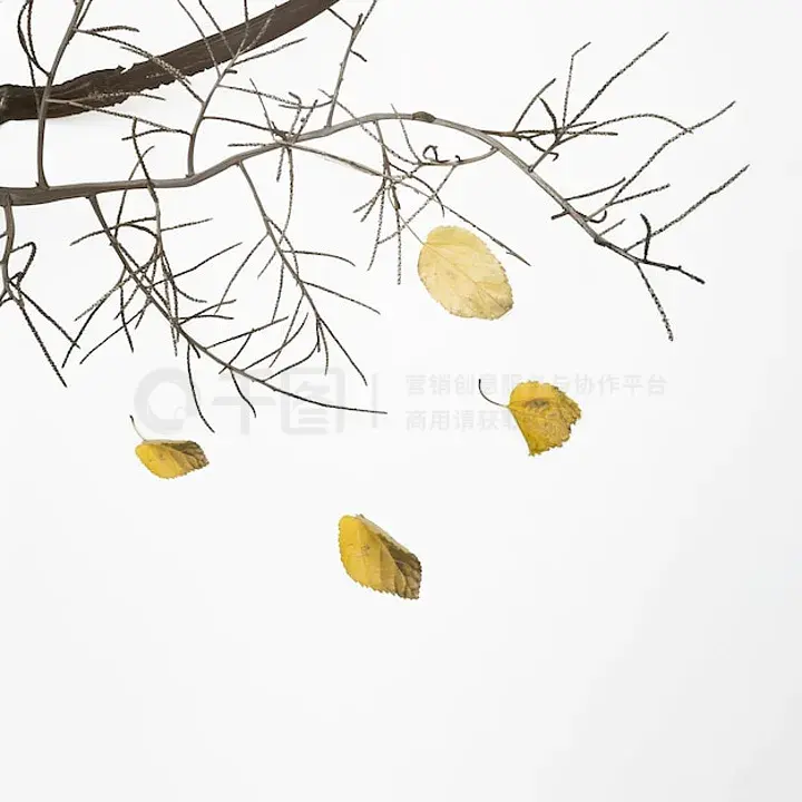 火 影 忍 者 +本 子 全 彩 合 集海报