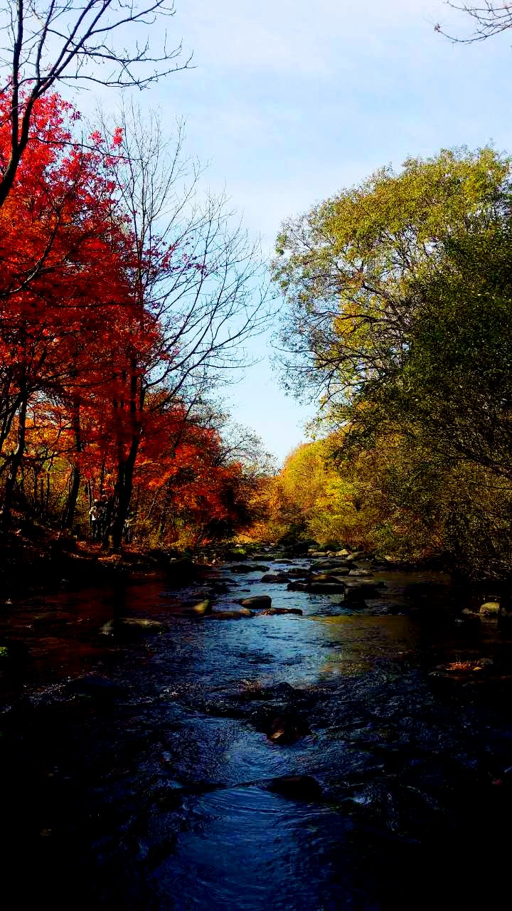 翻咔无法连接服务器