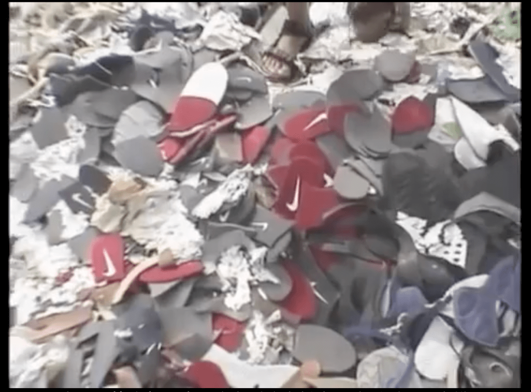 菠萝视频在线下载海报